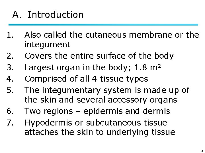 A. Introduction 1. 2. 3. 4. 5. 6. 7. Also called the cutaneous membrane