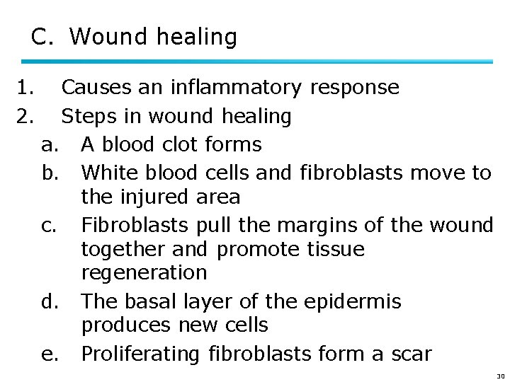 C. Wound healing 1. 2. Causes an inflammatory response Steps in wound healing a.