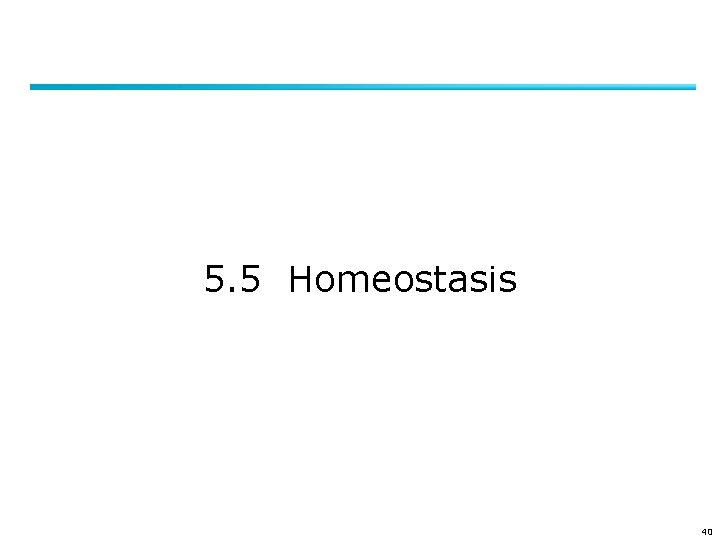 5. 5 Homeostasis 40 
