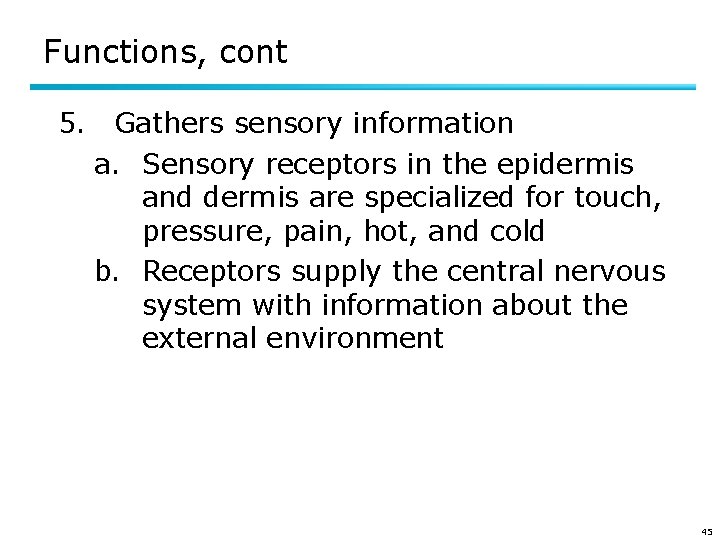 Functions, cont 5. Gathers sensory information a. Sensory receptors in the epidermis and dermis