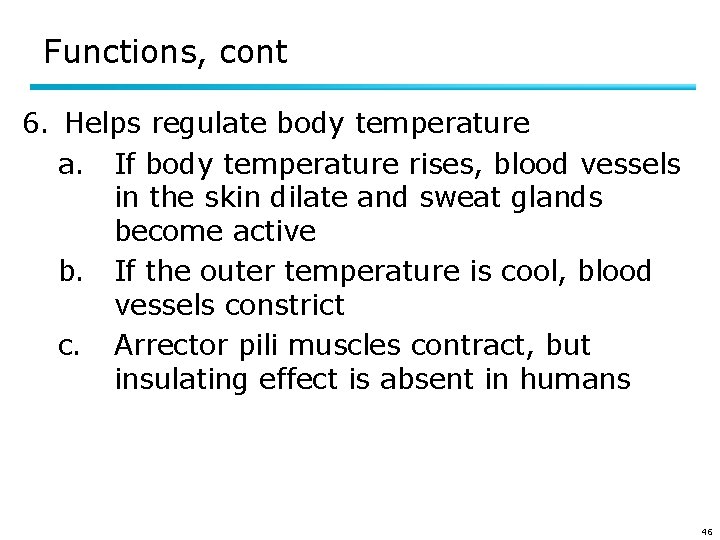 Functions, cont 6. Helps regulate body temperature a. If body temperature rises, blood vessels