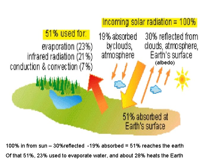 (albedo) 100% in from sun – 30%reflected -19% absorbed = 51% reaches the earth (albedo) 100% in from sun – 30%reflected -19% absorbed = 51% reaches the earth