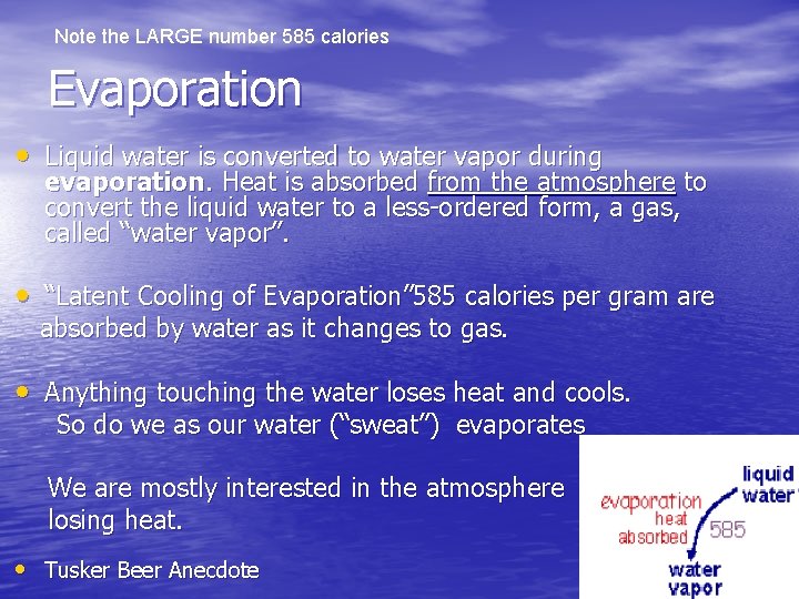Note the LARGE number 585 calories Evaporation • Liquid water is converted to water Note the LARGE number 585 calories Evaporation • Liquid water is converted to water