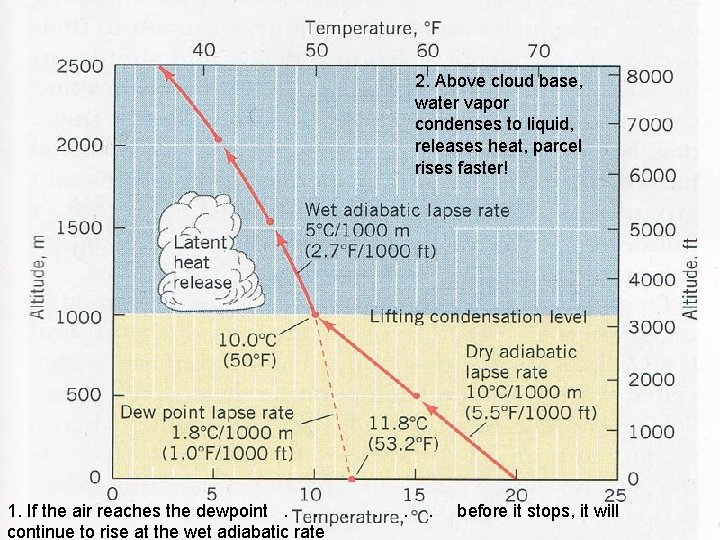 2. Above cloud base, water vapor condenses to liquid, releases heat, parcel rises faster! 2. Above cloud base, water vapor condenses to liquid, releases heat, parcel rises faster!