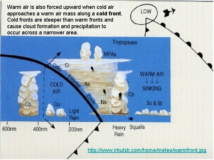 Warm air is also forced upward when cold air approaches a warm air mass Warm air is also forced upward when cold air approaches a warm air mass