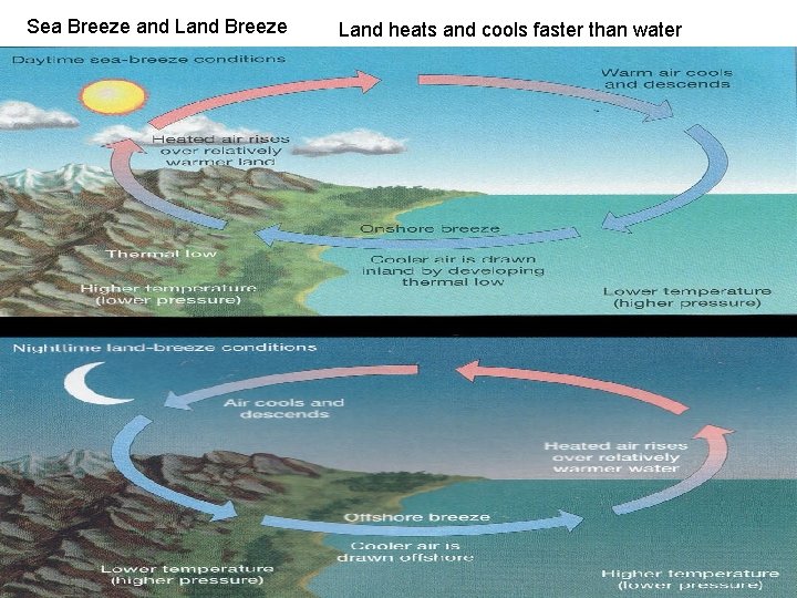 Sea Breeze and Land Breeze Land heats and cools faster than water Sea Breeze and Land Breeze Land heats and cools faster than water