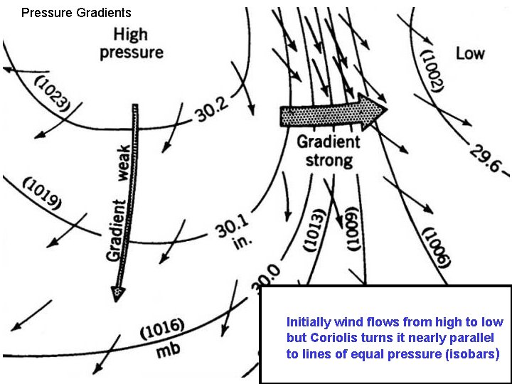 Pressure Gradients Coriolis turning Initially wind flows from high to low but Coriolis turns Pressure Gradients Coriolis turning Initially wind flows from high to low but Coriolis turns