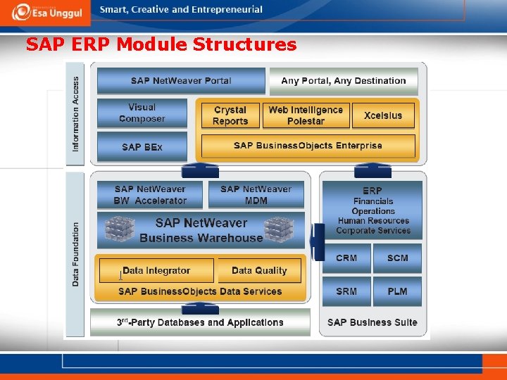 SAP ERP Module Structures 