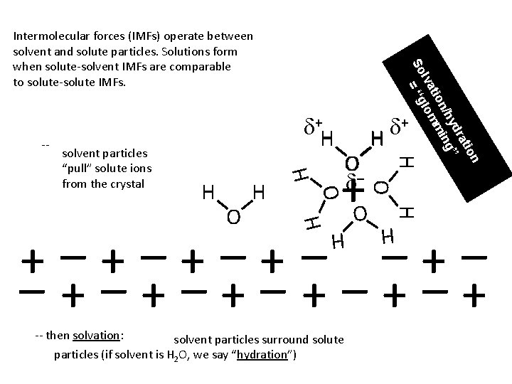 -- O d– + d H H solvent particles “pull” solute ions from the