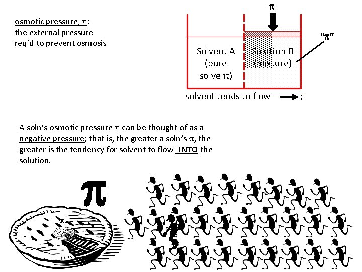 p osmotic pressure, p: the external pressure req’d to prevent osmosis “p” Solvent A