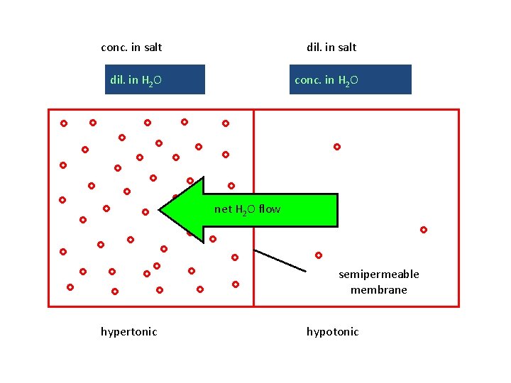 conc. in salt dil. in H 2 O conc. in H 2 O net