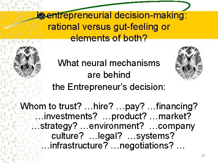 Is entrepreneurial decision-making: rational versus gut-feeling or elements of both? What neural mechanisms are