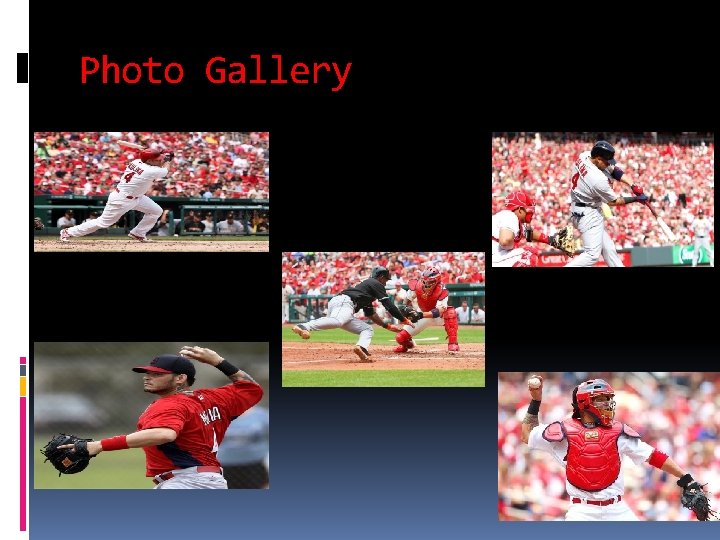 Photo Gallery 