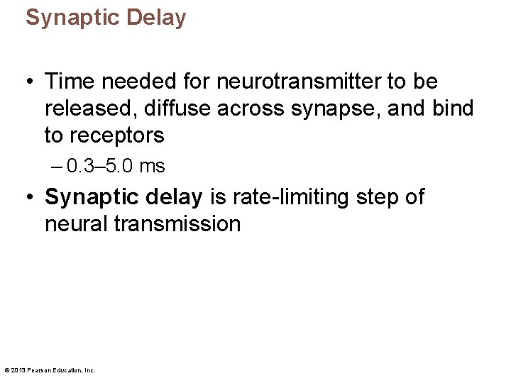 Synaptic Delay • Time needed for neurotransmitter to be released, diffuse across synapse, and
