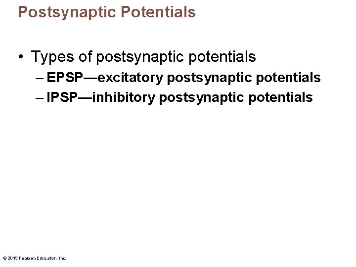 Postsynaptic Potentials • Types of postsynaptic potentials – EPSP—excitatory postsynaptic potentials – IPSP—inhibitory postsynaptic