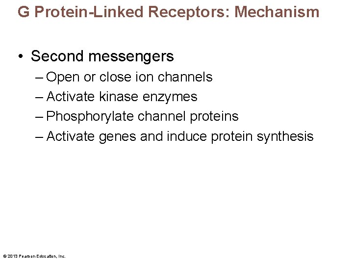 G Protein-Linked Receptors: Mechanism • Second messengers – Open or close ion channels –
