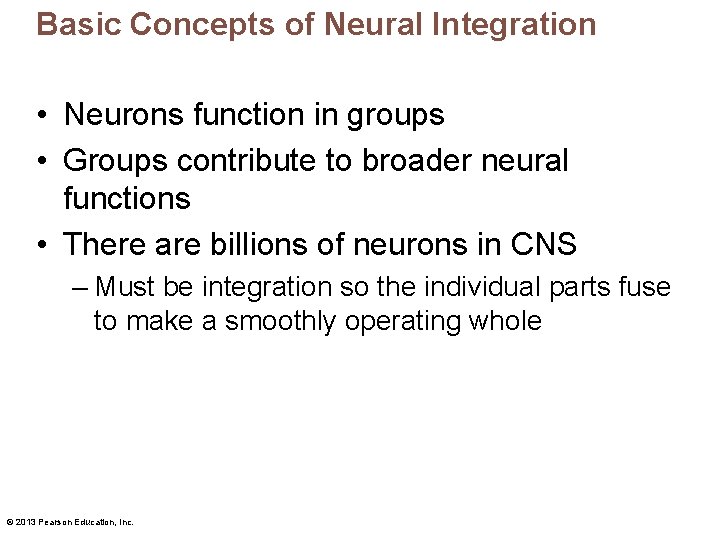 Basic Concepts of Neural Integration • Neurons function in groups • Groups contribute to