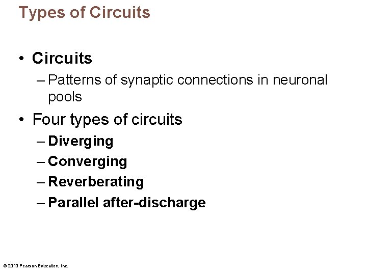 Types of Circuits • Circuits – Patterns of synaptic connections in neuronal pools •