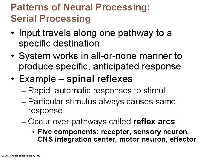 Patterns of Neural Processing: Serial Processing • Input travels along one pathway to a