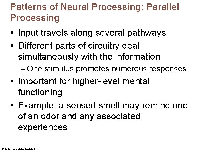 Patterns of Neural Processing: Parallel Processing • Input travels along several pathways • Different