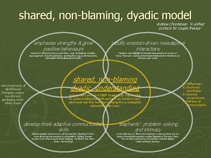 shared, non-blaming, dyadic model Andrew Christensen ‘A unified protocol for couple therapy’ note importance