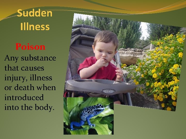 Sudden Illness Poison Any substance that causes injury, illness or death when introduced into