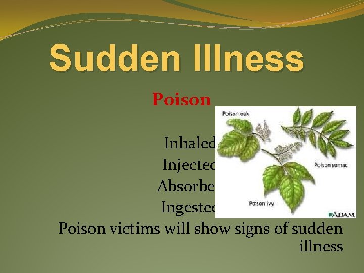 Sudden Illness Poisons can be: Inhaled Injected Absorbed Ingested Poison victims will show signs