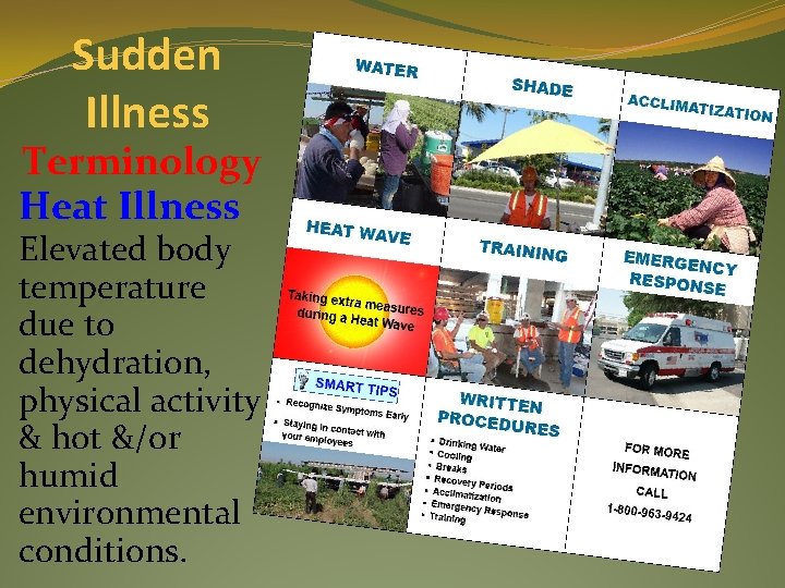 Sudden Illness Terminology Heat Illness Elevated body temperature due to dehydration, physical activity &