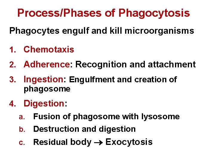 Process/Phases of Phagocytosis Phagocytes engulf and kill microorganisms 1. Chemotaxis 2. Adherence: Recognition and
