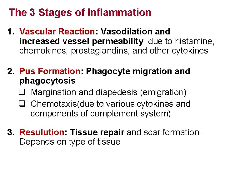 The 3 Stages of Inflammation 1. Vascular Reaction: Vasodilation and increased vessel permeability due