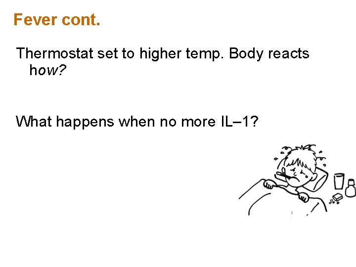 Fever cont. Thermostat set to higher temp. Body reacts how? What happens when no