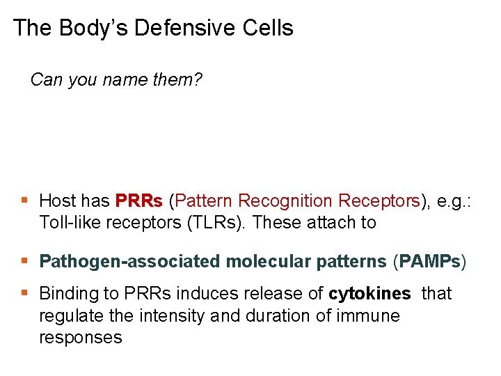 The Body’s Defensive Cells Can you name them? § Host has PRRs (Pattern Recognition
