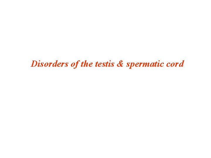 Disorders of the testis & spermatic cord 