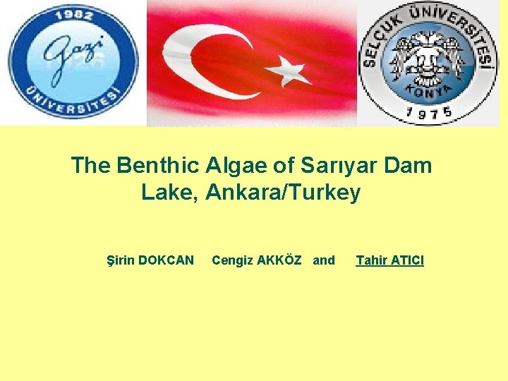 The Benthic Algae of Sarıyar Dam Lake, Ankara/Turkey Şirin DOKCAN Cengiz AKKÖZ and Tahir