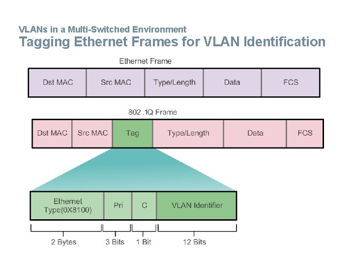 VLANs in a Multi-Switched Environment Tagging Ethernet Frames for VLAN Identification 