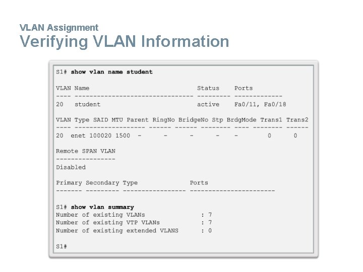 VLAN Assignment Verifying VLAN Information 