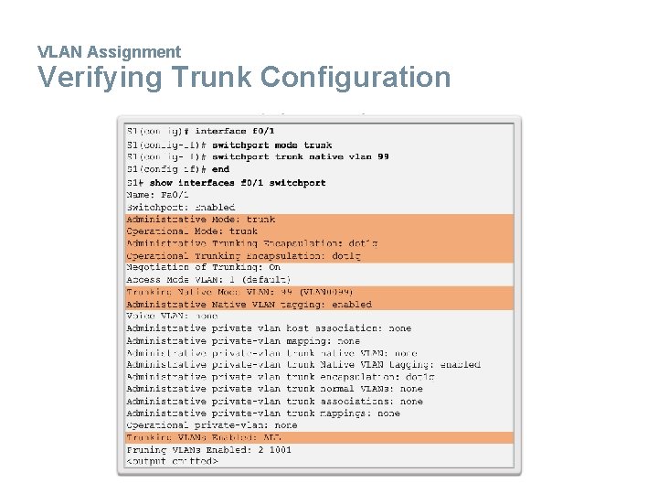 VLAN Assignment Verifying Trunk Configuration 