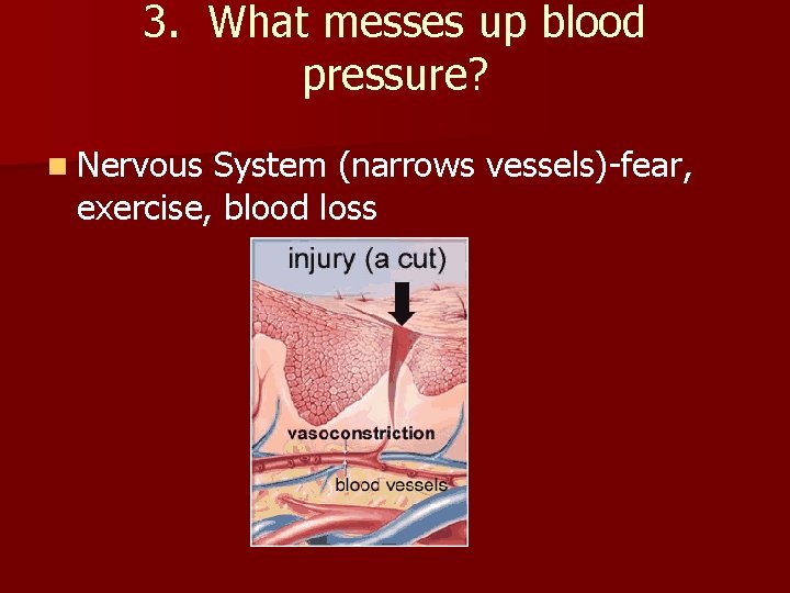 3. What messes up blood pressure? n Nervous System (narrows vessels)-fear, exercise, blood loss
