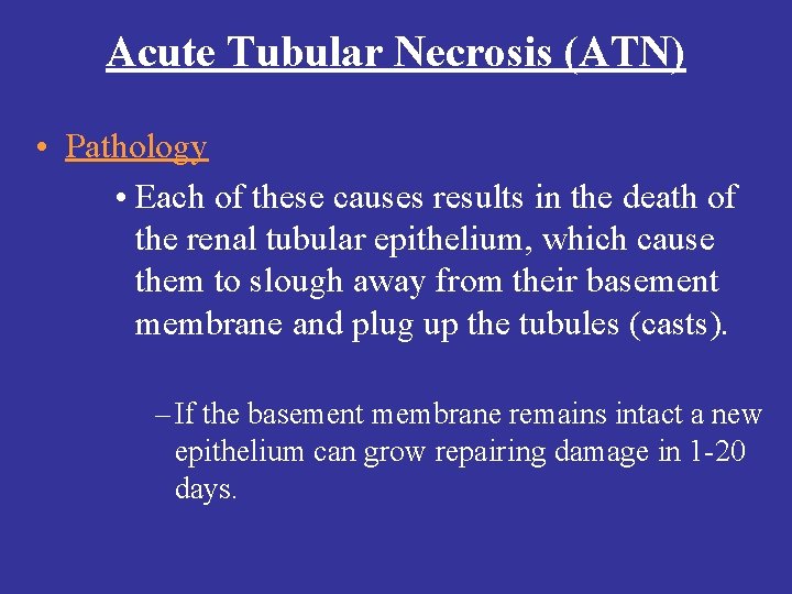 Acute Tubular Necrosis (ATN) • Pathology • Each of these causes results in the