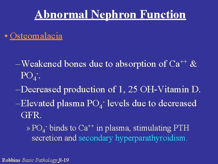 Abnormal Nephron Function • Osteomalacia – Weakened bones due to absorption of Ca++ & Abnormal Nephron Function • Osteomalacia – Weakened bones due to absorption of Ca++ &