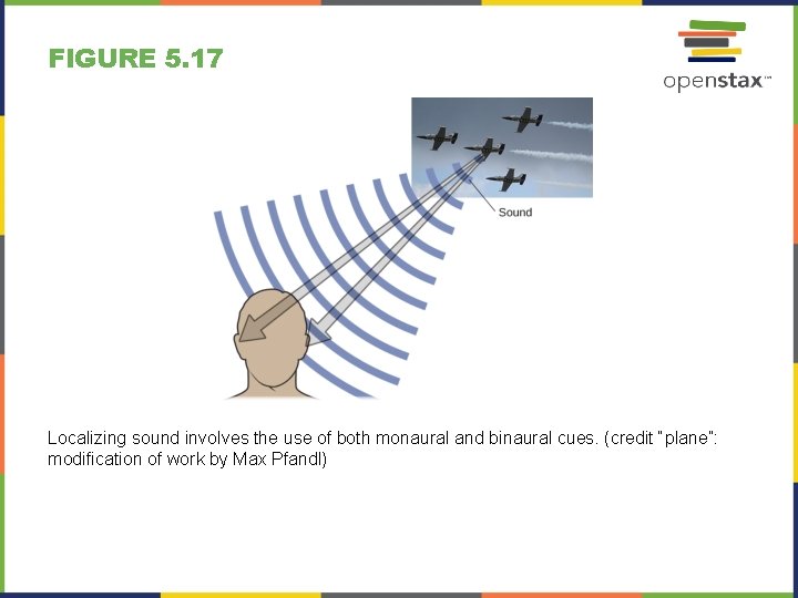 FIGURE 5. 17 Localizing sound involves the use of both monaural and binaural cues.