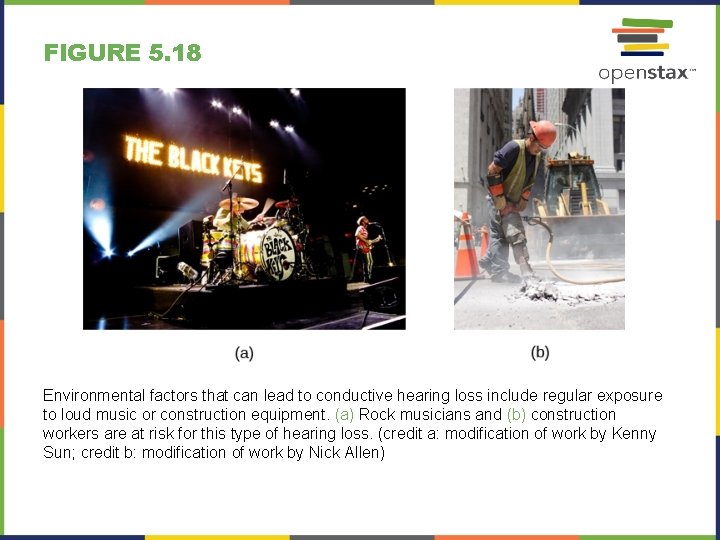 FIGURE 5. 18 Environmental factors that can lead to conductive hearing loss include regular