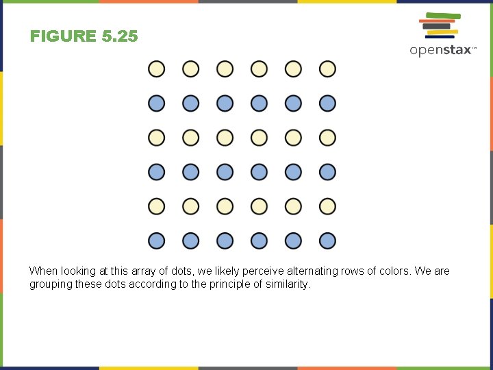 FIGURE 5. 25 When looking at this array of dots, we likely perceive alternating