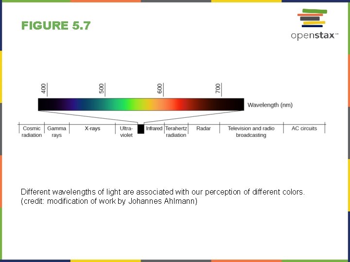 FIGURE 5. 7 Different wavelengths of light are associated with our perception of different