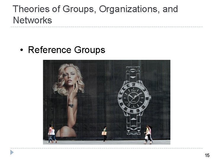 Theories of Groups, Organizations, and Networks • Reference Groups 15 