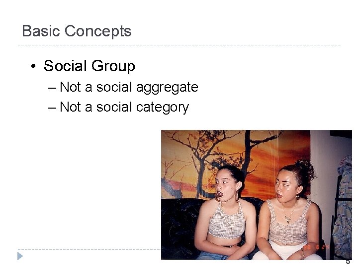 Basic Concepts • Social Group – Not a social aggregate – Not a social