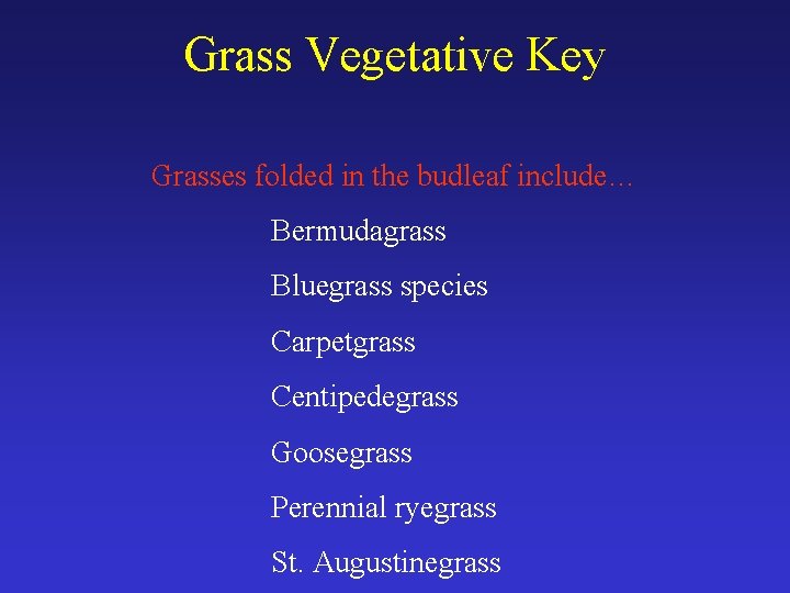 Grass Vegetative Key Grasses folded in the budleaf include… Bermudagrass Bluegrass species Carpetgrass Centipedegrass