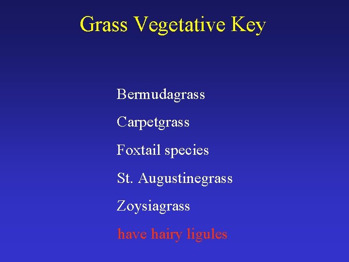 Grass Vegetative Key Bermudagrass Carpetgrass Foxtail species St. Augustinegrass Zoysiagrass have hairy ligules 