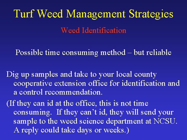 Turf Weed Management Strategies Weed Identification Possible time consuming method – but reliable Dig