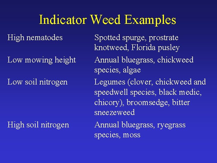 Indicator Weed Examples High nematodes Low mowing height Low soil nitrogen High soil nitrogen